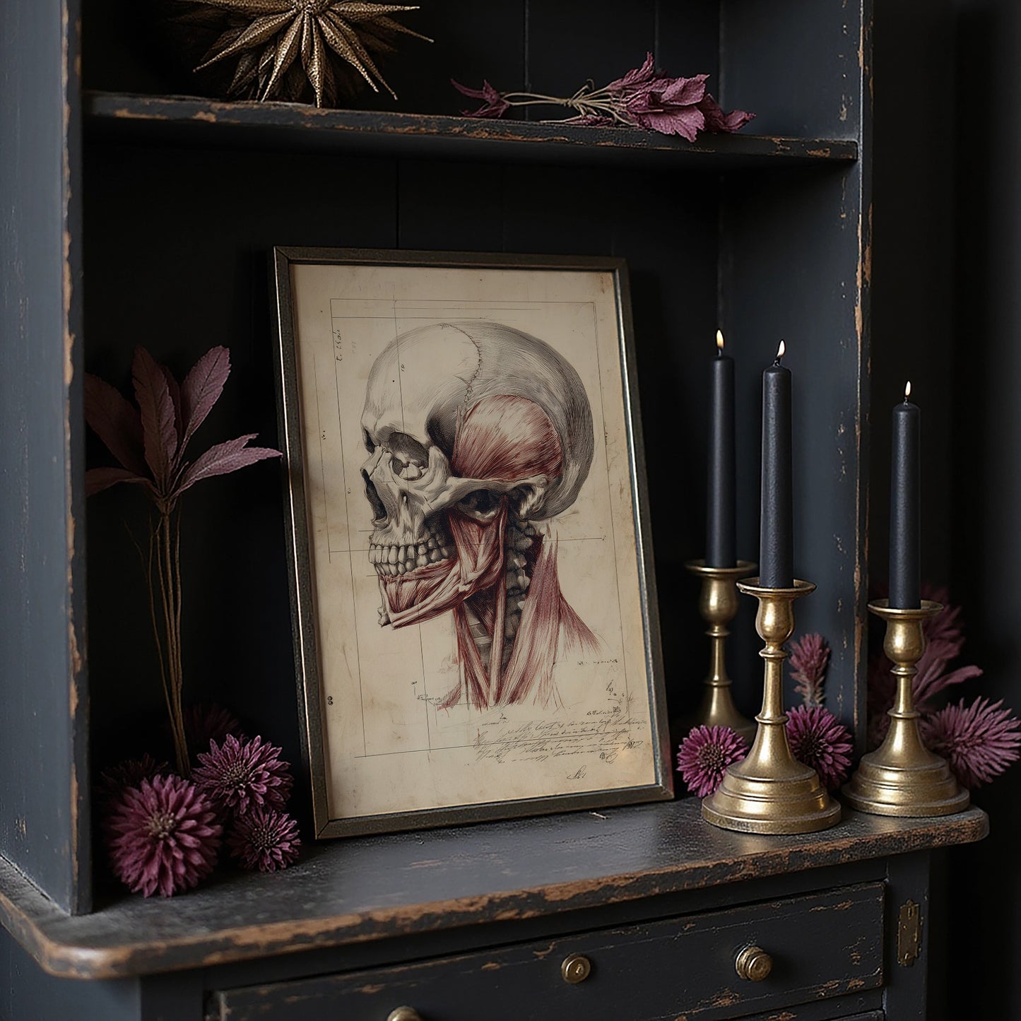 Anatomy Illuminated Against Darkness