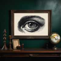 Windows To Ancient Knowledge Shelved