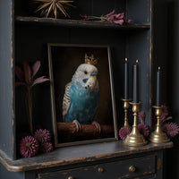 Royal Plumage In Midnight Court