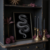 Midnight Scales In Silver Light