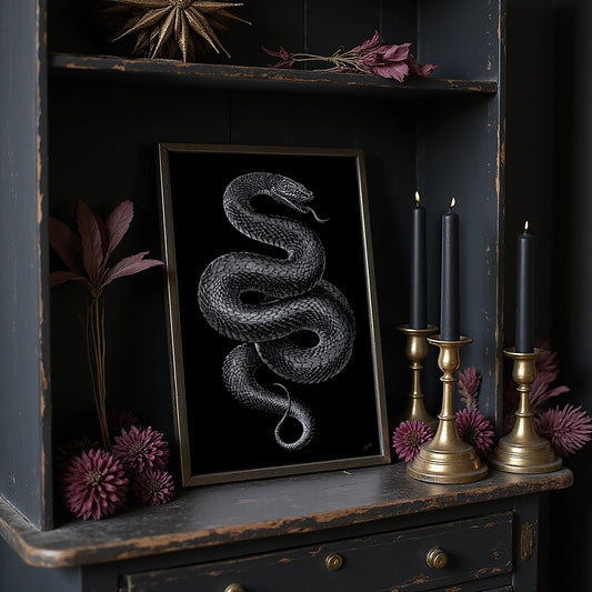 Midnight Scales In Silver Light