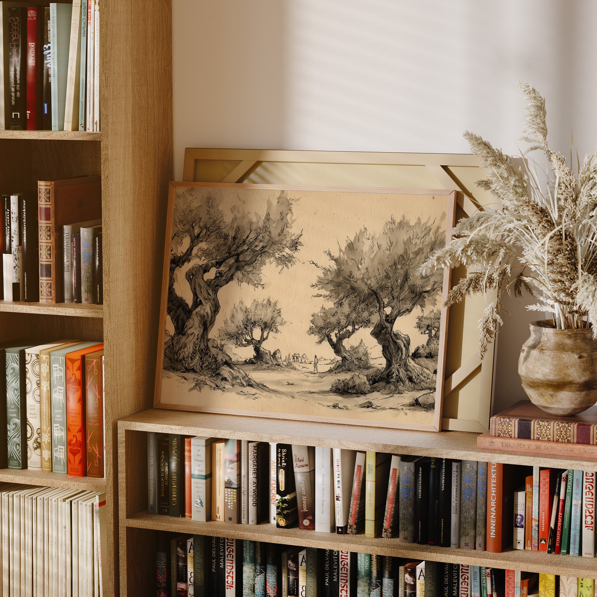 Ancient Olives Guard Distant Paths