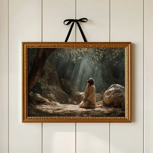 Sunbeams Pierce The Forest Silence