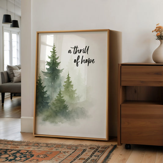 Evergreens Carry Quiet Promises