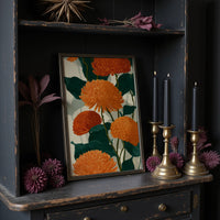 Orange Chrysanthemums Hold the Light