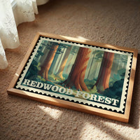 Redwood Forest: Secrets of Time