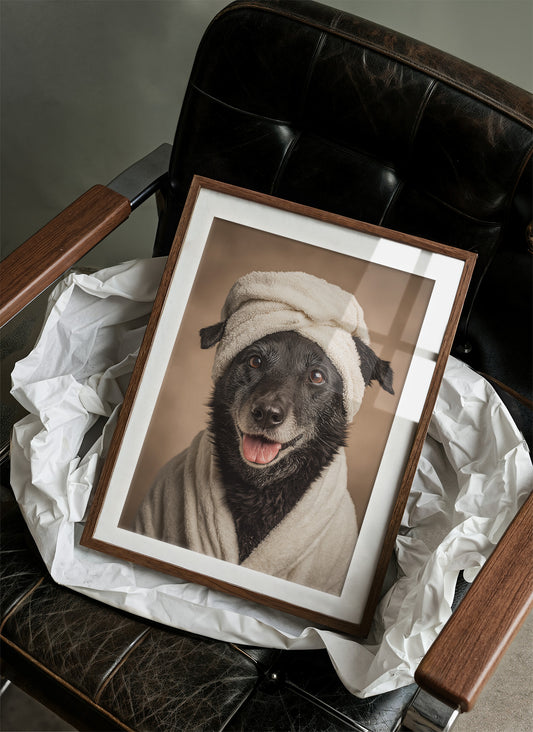 Spa Day for the Furry Companion