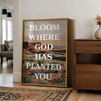Where The Desert Learns Your Name
