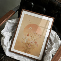 Morning Sun Kisses Wild Cosmos