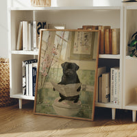 Pug's Morning News And Cherry Blossoms