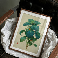 Basil Leaves Dance In Morning Light