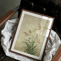 Tall Grasses Dance In Autumn Light