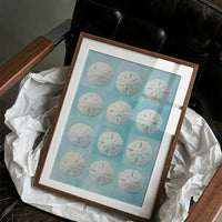 Sand Dollars Dance On Teal