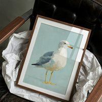 Coastal Portrait In Morning Light