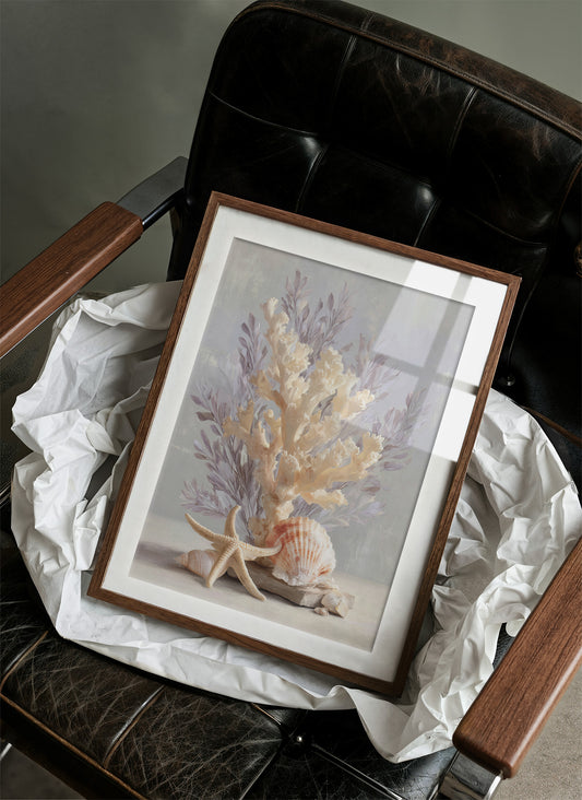 Coastal Treasures In Morning Light