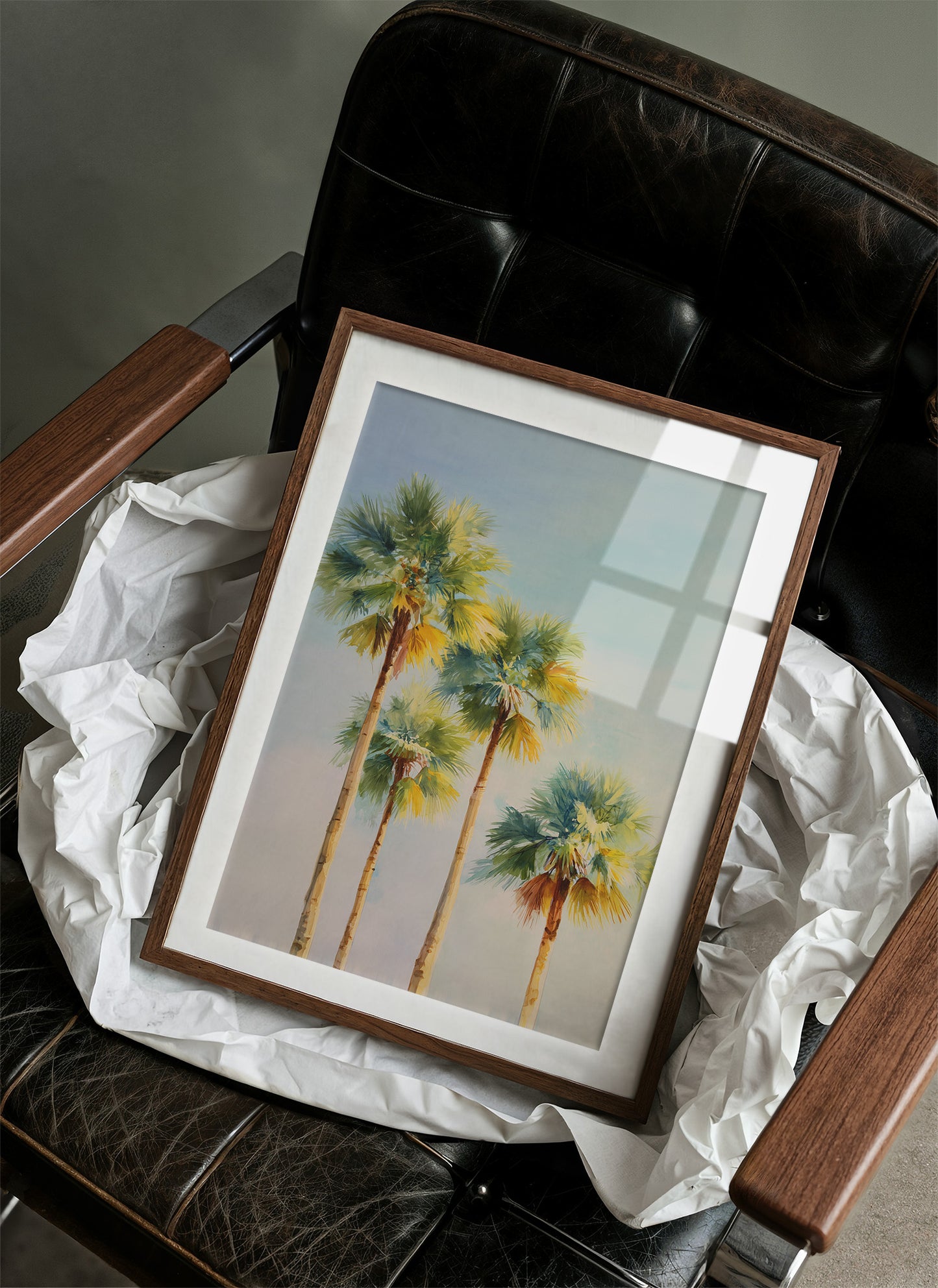 Palms Bathed In Coastal Light