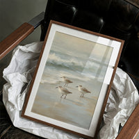 Shoreline Pause In Gentle Tide