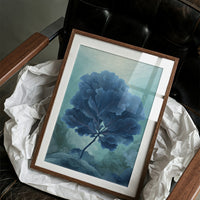 Indigo Flora In Morning Light