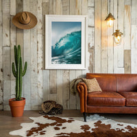 Turquoise Curl Against Weathered Boards