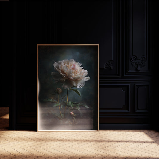 Pale Blossom Against Midnight Walls