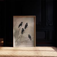 Ravens Hold The Barren Branch