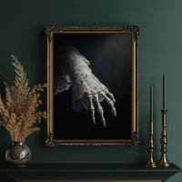Delicate Bones Behind Lace Curtains