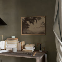 Southern Mist Haunts Old Homestead