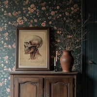 Anatomy Illuminated Against Darkness