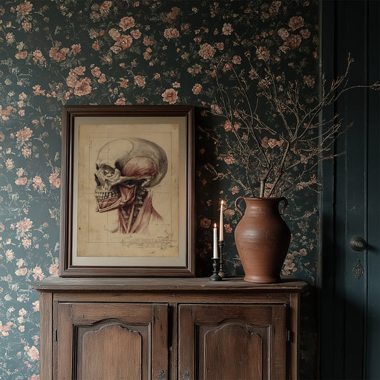 Anatomy Illuminated Against Darkness