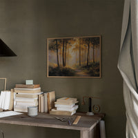 Forest Path Bathed In Light