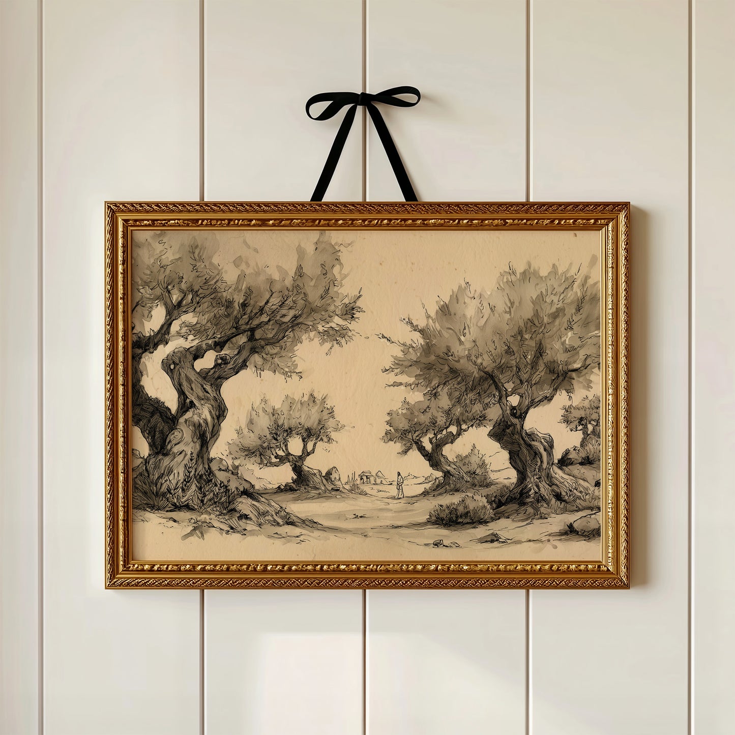 Ancient Olives Guide The Wanderer