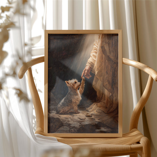 Faithful Companion Reaches For Light