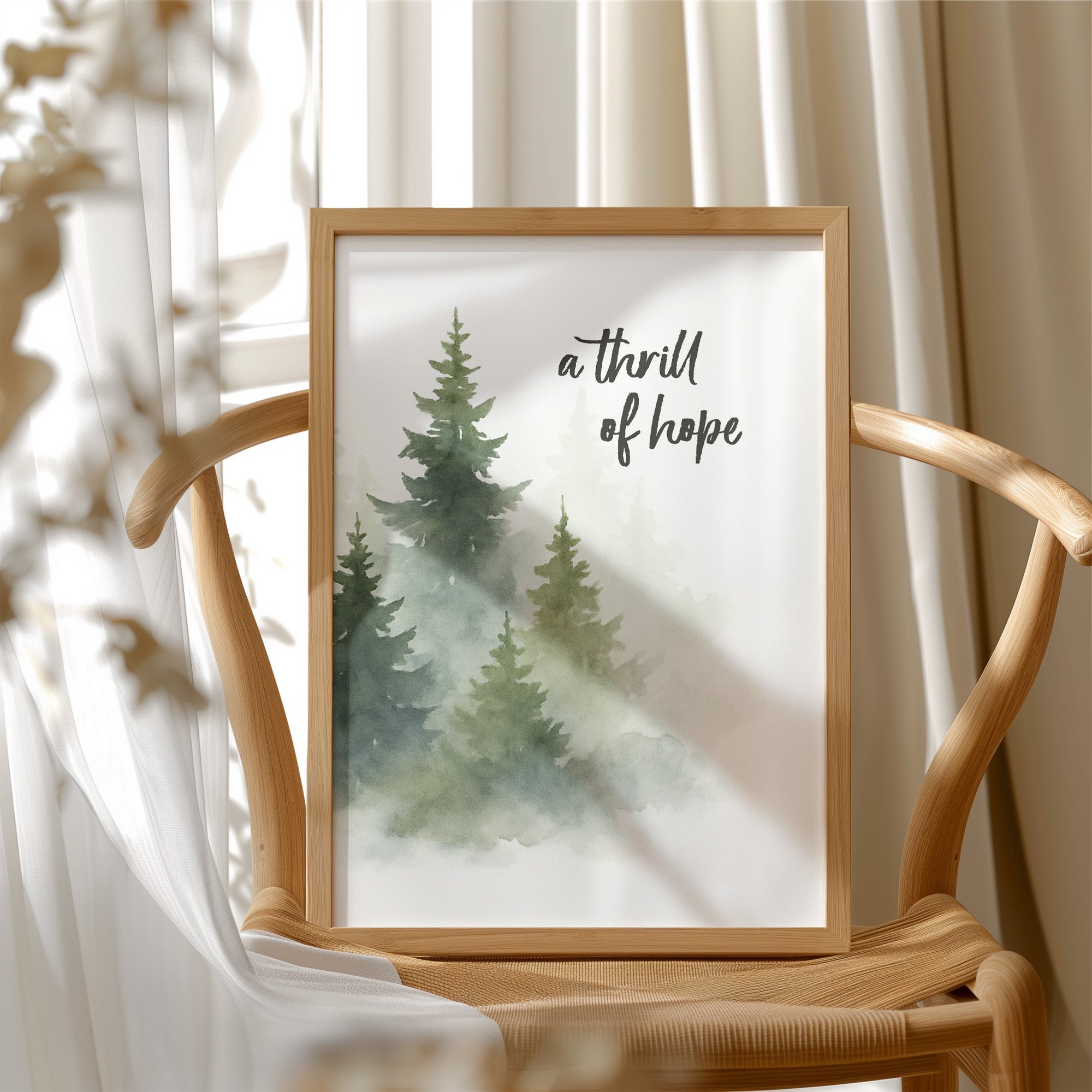 Evergreens Carry Quiet Promises