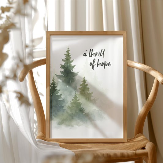 Evergreens Carry Quiet Promises