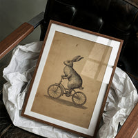 The Cycling Hare's Curious Journey
