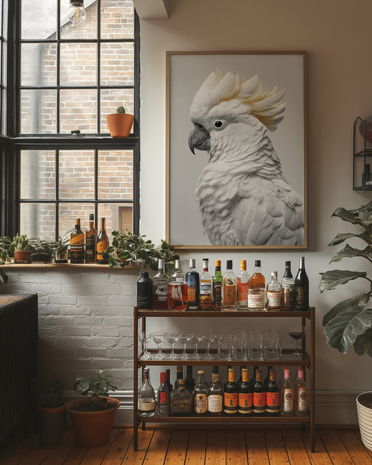 Alabaster Majesty: Portrait of a Cockatoo