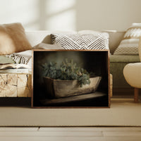 The Box That Held the Evergreen