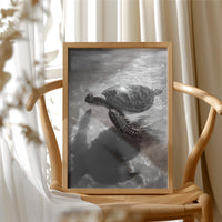 Silver Light Finds Ancient Traveler
