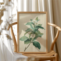 White Blossoms Hold Their Golden Hearts