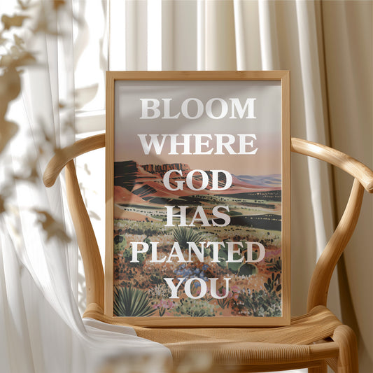 Where The Desert Learns Your Name