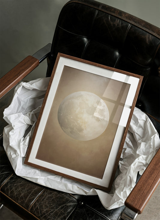 Moonlit Stories Rest Between Pages