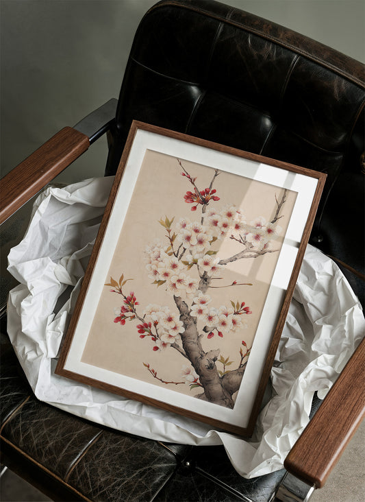 Cherry Blossoms Paint Spring's Promise