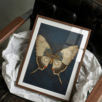 Moonlit Wings Tell Midnight Tales