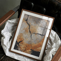 Time Circles Through Ancient Wood