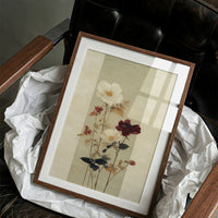 Roses Cast Shadows In Morning Light