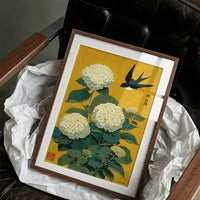 Swallow Songs Meet Summer Hydrangeas