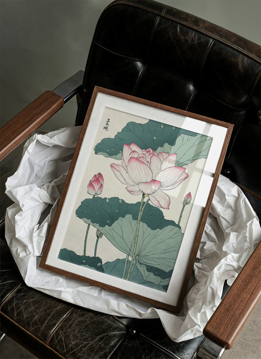 Lotus Blooms Between Library Lines