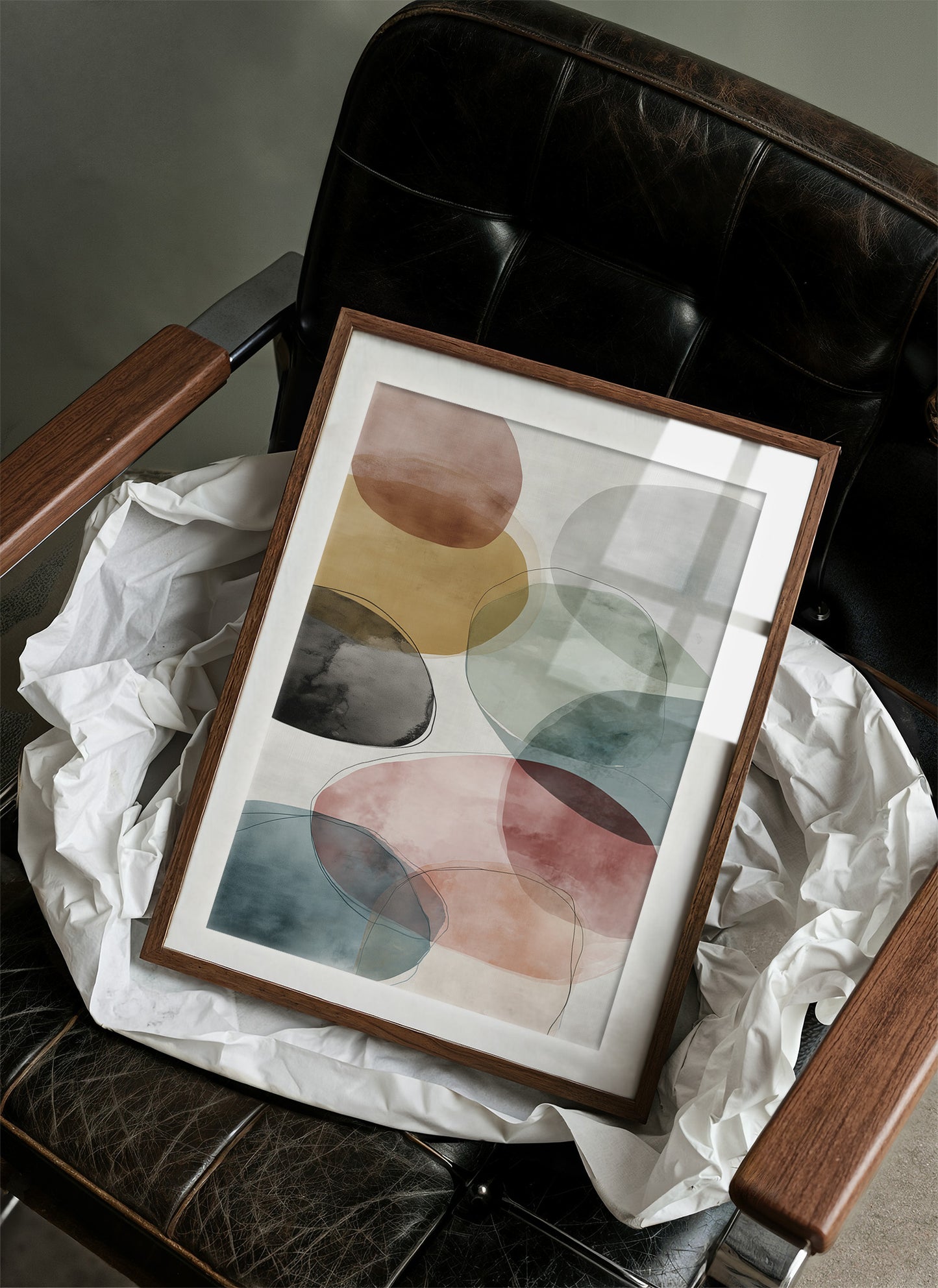 Circles Dance In Gentle Daylight