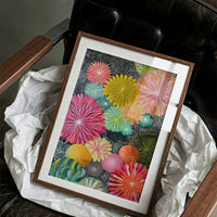 Starbursts Dance In Rainbow Gardens