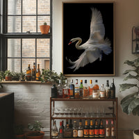 White Swan Graces The Night Bar